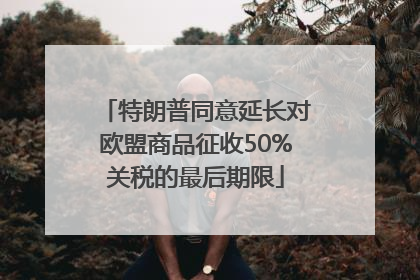 特朗普同意延长对欧盟商品征收50%关税的最后期限