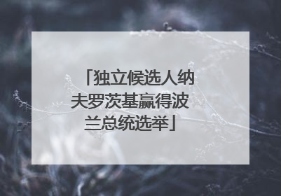 独立候选人纳夫罗茨基赢得波兰总统选举
