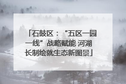 石鼓区：“五区一园一线”战略赋能 河湖长制绘就生态新图景