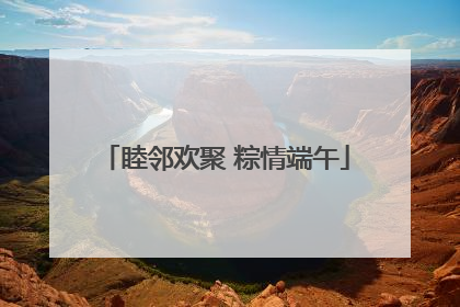 睦邻欢聚 粽情端午