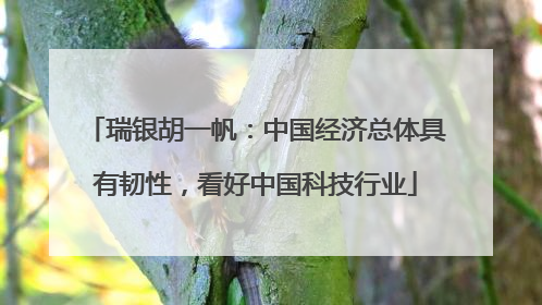 瑞银胡一帆：中国经济总体具有韧性，看好中国科技行业