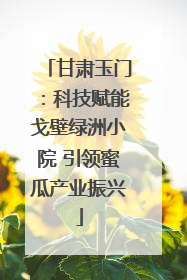 甘肃玉门：科技赋能戈壁绿洲小院 引领蜜瓜产业振兴