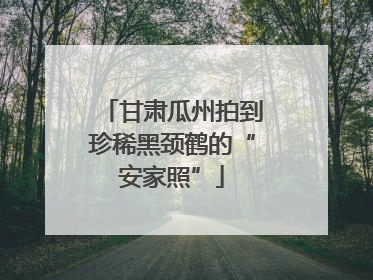 甘肃瓜州拍到珍稀黑颈鹤的“安家照”