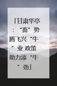 甘肃华亭：“畜”势腾飞兴“牛”业 政策助力添“牛”劲