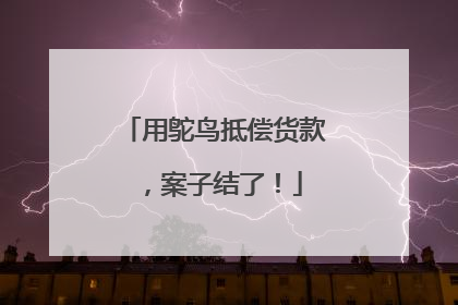 用鸵鸟抵偿货款，案子结了！