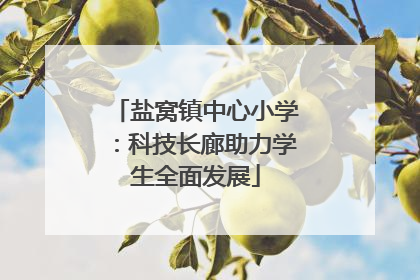 盐窝镇中心小学：科技长廊助力学生全面发展