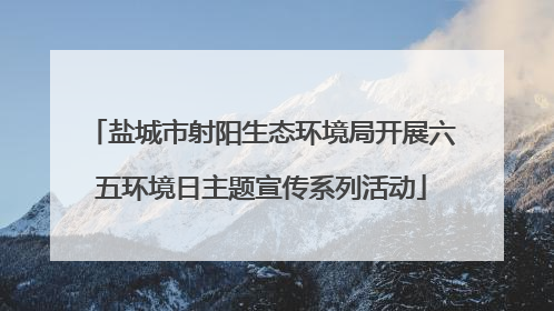 盐城市射阳生态环境局开展六五环境日主题宣传系列活动