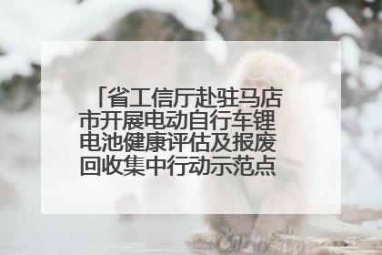 省工信厅赴驻马店市开展电动自行车锂电池健康评估及报废回收集中行动示范点建设调研指导