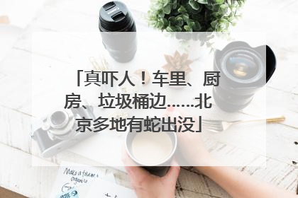 真吓人！车里、厨房、垃圾桶边……北京多地有蛇出没