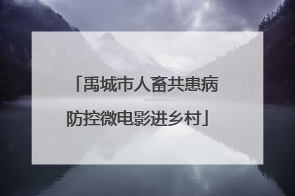 禹城市人畜共患病防控微电影进乡村