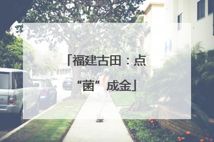 福建古田：点“菌”成金