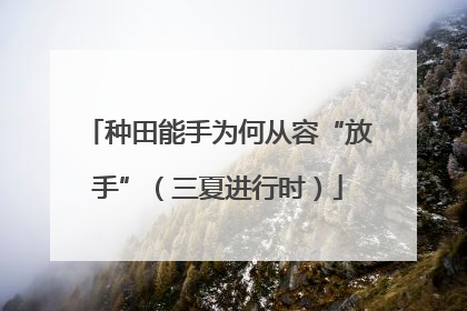 种田能手为何从容“放手”（三夏进行时）