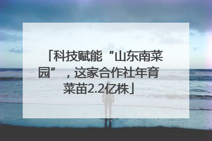 科技赋能“山东南菜园”，这家合作社年育菜苗2.2亿株