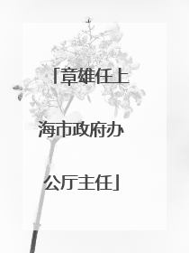章雄任上海市政府办公厅主任