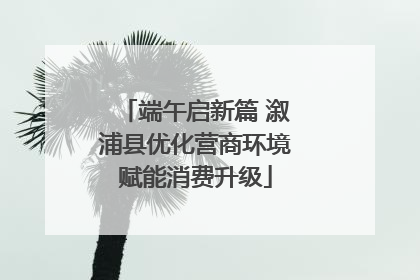 端午启新篇 溆浦县优化营商环境赋能消费升级