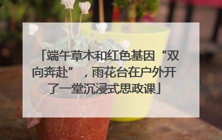 端午草木和红色基因“双向奔赴”，雨花台在户外开了一堂沉浸式思政课