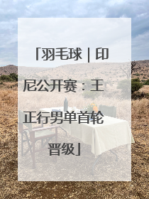 羽毛球｜印尼公开赛：王正行男单首轮晋级