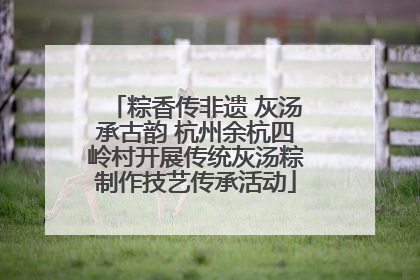 粽香传非遗 灰汤承古韵 杭州余杭四岭村开展传统灰汤粽制作技艺传承活动