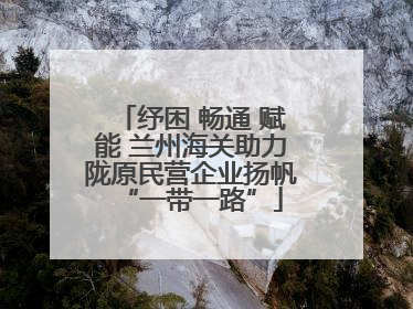 纾困 畅通 赋能 兰州海关助力陇原民营企业扬帆“一带一路”