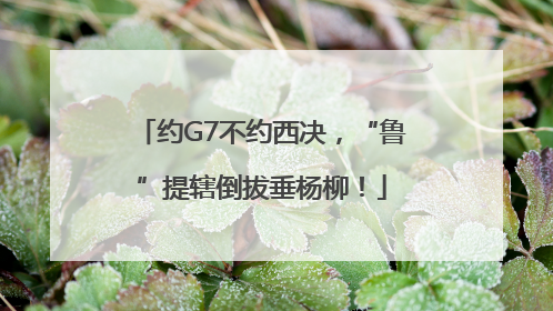 约G7不约西决，“鲁”提辖倒拔垂杨柳！