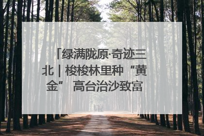 绿满陇原·奇迹三北｜梭梭林里种“黄金” 高台治沙致富很“从容”
