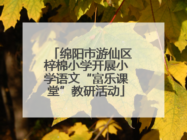 绵阳市游仙区梓棉小学开展小学语文“富乐课堂”教研活动