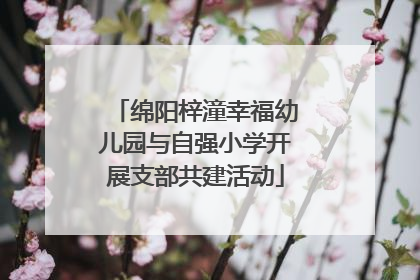 绵阳梓潼幸福幼儿园与自强小学开展支部共建活动