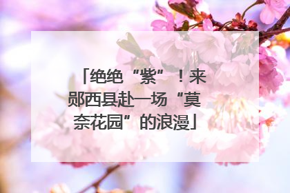 绝绝“紫”！来郧西县赴一场“莫奈花园”的浪漫
