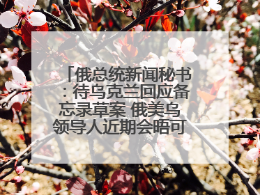 俄总统新闻秘书：待乌克兰回应备忘录草案 俄美乌领导人近期会晤可能性小
