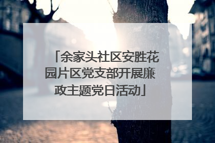 余家头社区安胜花园片区党支部开展廉政主题党日活动