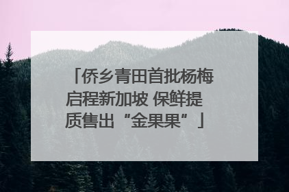 侨乡青田首批杨梅启程新加坡 保鲜提质售出“金果果”