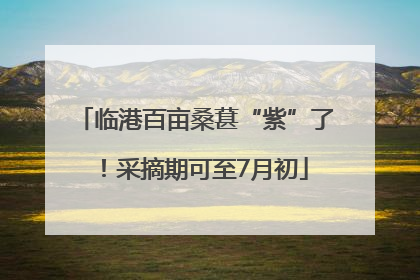临港百亩桑葚“紫”了！采摘期可至7月初