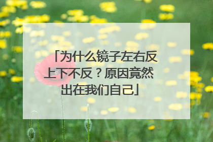 为什么镜子左右反上下不反？原因竟然出在我们自己