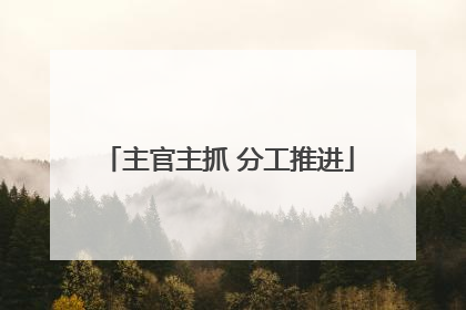 主官主抓 分工推进