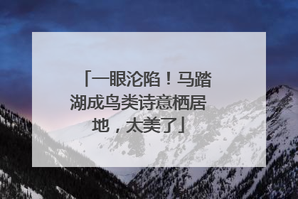 一眼沦陷！马踏湖成鸟类诗意栖居地，太美了