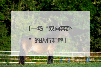 一场“双向奔赴”的执行和解