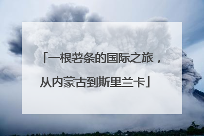 一根薯条的国际之旅，从内蒙古到斯里兰卡