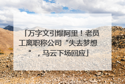 万字文引爆阿里！老员工离职称公司“失去梦想”，马云下场回应