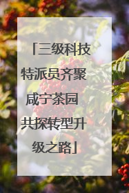 三级科技特派员齐聚咸宁茶园 共探转型升级之路