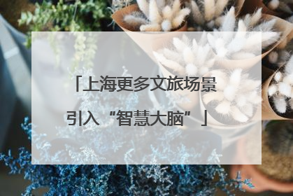 上海更多文旅场景引入“智慧大脑”