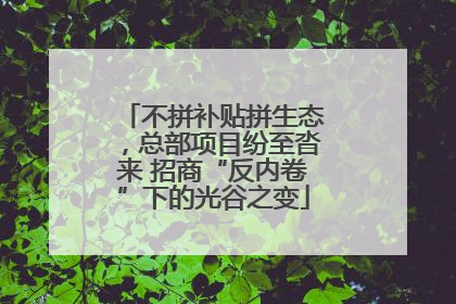 不拼补贴拼生态，总部项目纷至沓来 招商“反内卷”下的光谷之变