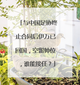 与中国足协终止合同后伊万已回国，空留帅位，谁能接任？
