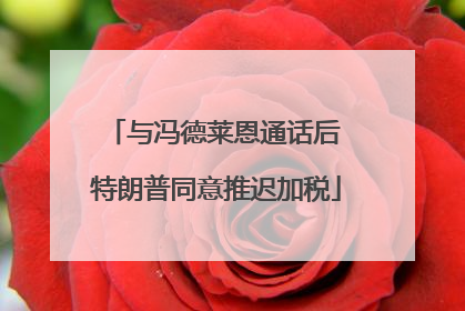 与冯德莱恩通话后 特朗普同意推迟加税