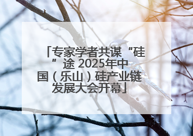 专家学者共谋“硅”途 2025年中国（乐山）硅产业链发展大会开幕