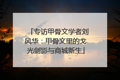 专访甲骨文学者刘风华：甲骨文里的戈光剑影与商城新生