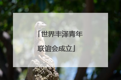 世界丰泽青年联谊会成立