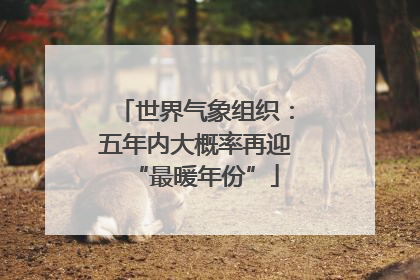 世界气象组织：五年内大概率再迎“最暖年份”