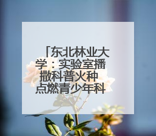 东北林业大学：实验室播撒科普火种 点燃青少年科技强国梦