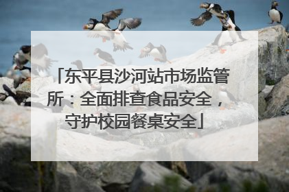 东平县沙河站市场监管所：全面排查食品安全，守护校园餐桌安全