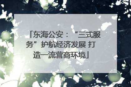 东海公安：“三式服务”护航经济发展 打造一流营商环境